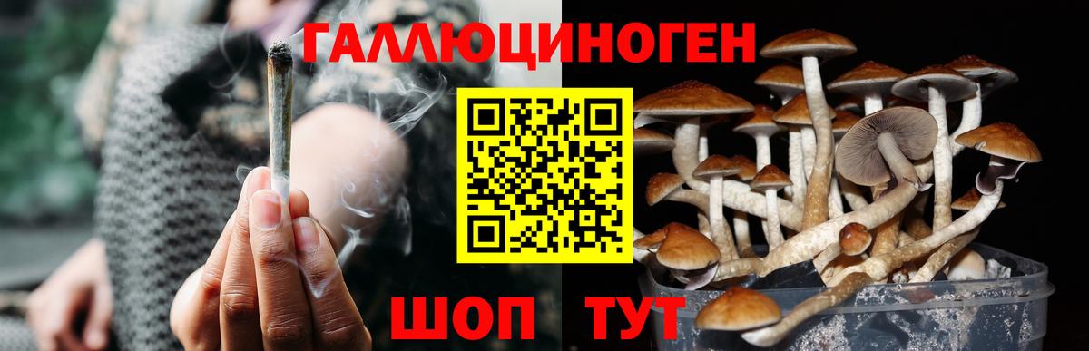 Люберцы  Галлюциногенные грибы GOLDEN TEACHER  Вход с VPN 